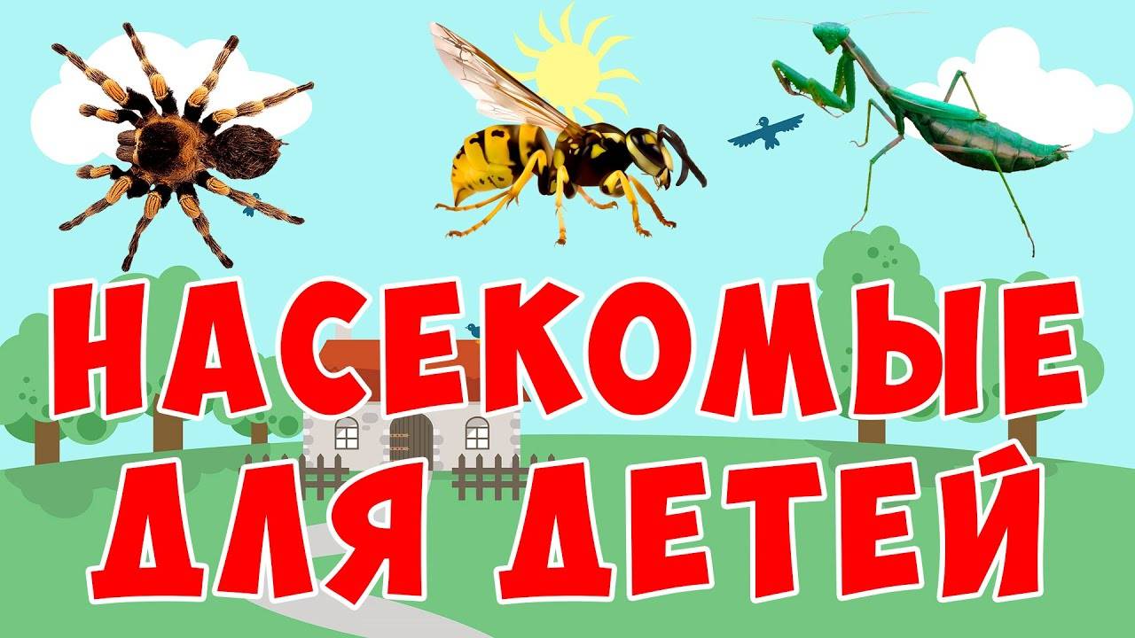 РАЗВИВАЮЩИЕ МУЛЬТИКИ ДЛЯ ДЕТЕЙ УЧИМ НАСЕКОМЫХ