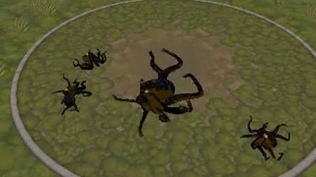 Octopus species - Spore Creatures