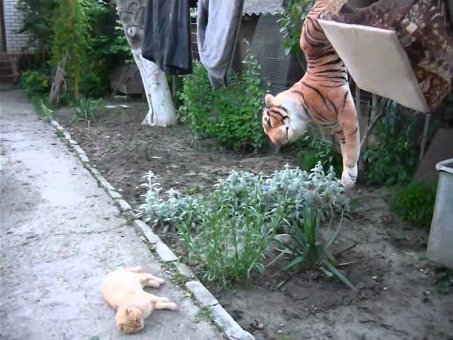 Неужели хмырь повесился?2