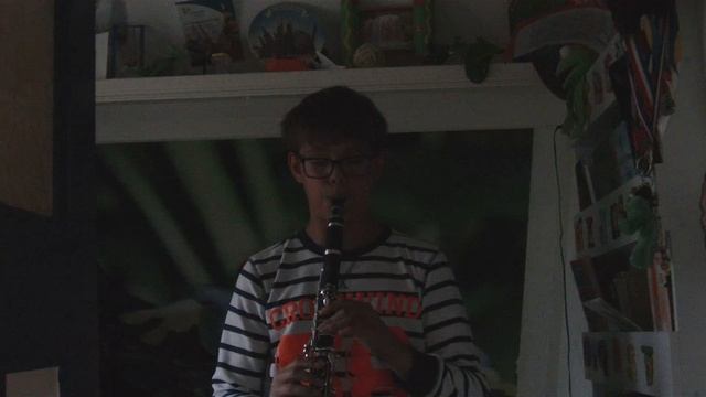 Stem jij ook op Senna?