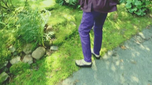 Moss Maintenance and More; A Walkabout with Mossin' Annie