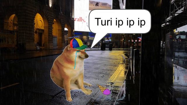 Turi ip ip ip doge