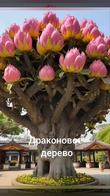 Уникальные растения.