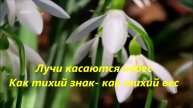 С землей едины мы душой
