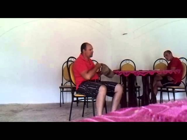 Семинар в Чулисе