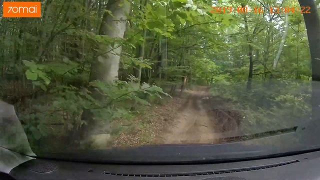 Test Xiaomi 70Mai Smart Dash Cam Pro in the forest.