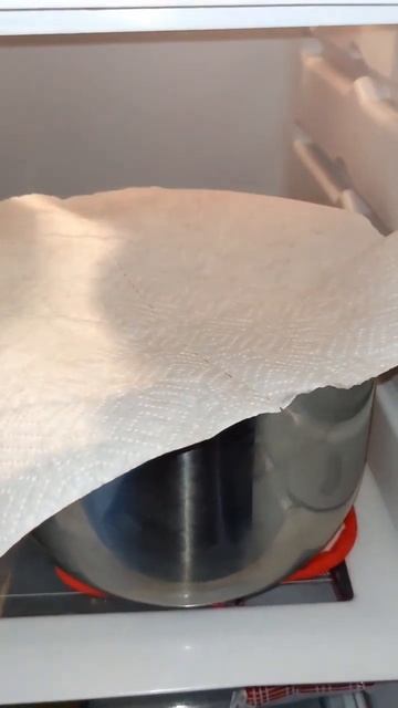 Here is how you can make homemade yogurt!
