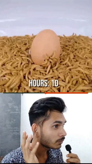 Egg Vs 10,0000 Worms #shorts #timelapse