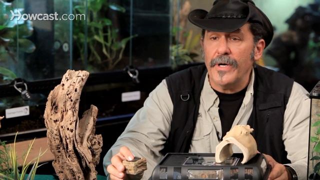 5 Supplies You Need for a Pet Tarantula | Pet Tarantulas