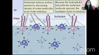 Physiology | Respiratory System | Ventilation & Spirogram