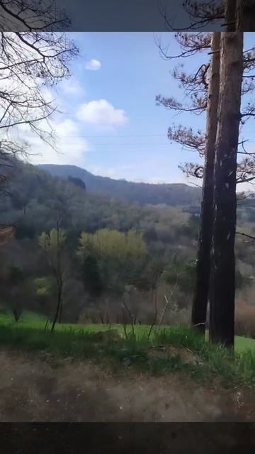 1000056016.mp4