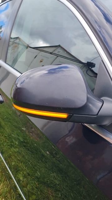 Volkswagen Passat B6 динамические поворотники.