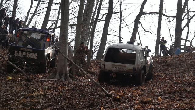 Адыгея  Февральские окна 2019