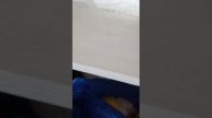 хаги ваги и черный хаги ваги и мама длинные ноги и Веном прячутся от Димаса и Arseniy17