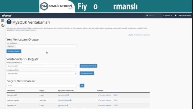 Cpanel Hosting Yönetim Paneli Kullanımı 1