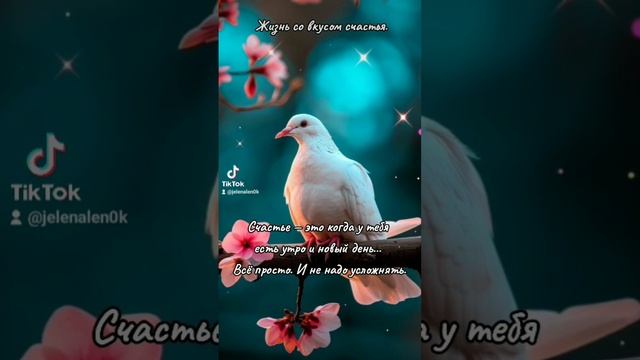 Любовь. Голуби. Счастье. #любовь #счастье #цитаты #Голуби #жизньсовкусомсчастья #красота #позитив #