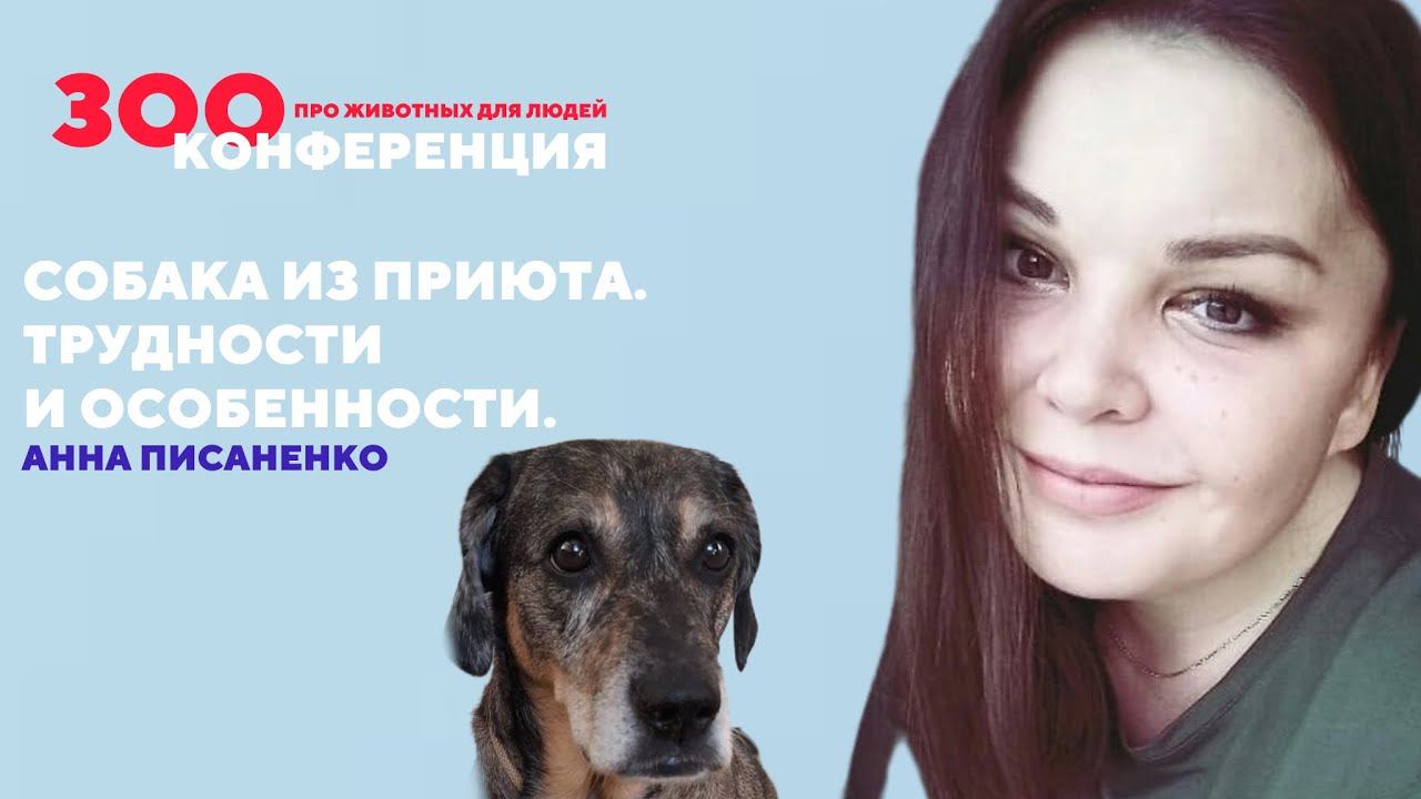 Собака из приюта | Анна Писаненко | ЗООКОНФЕРЕНЦИЯ