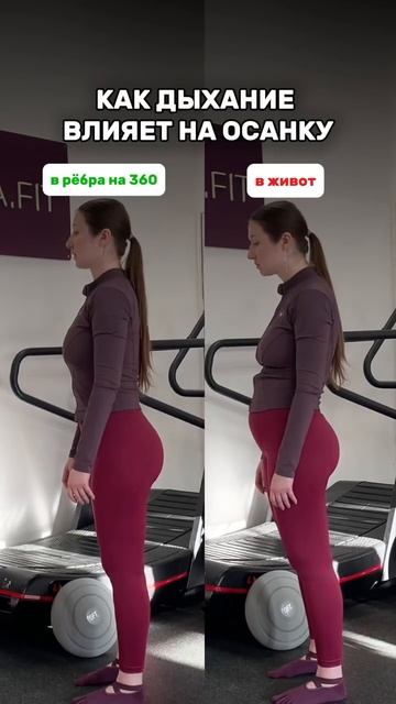 Дыхание и живот