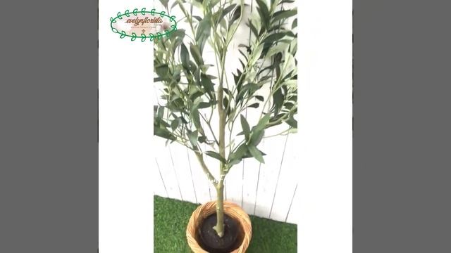 #evelynflorista - Pohon Zaitun X3 T120 Latex Silk Artificial Olive Tree Cover Keranjang Rotan Bulat