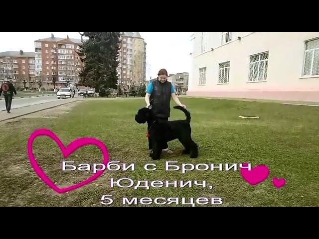 БсБ Юденич занятия в 5 месяцев