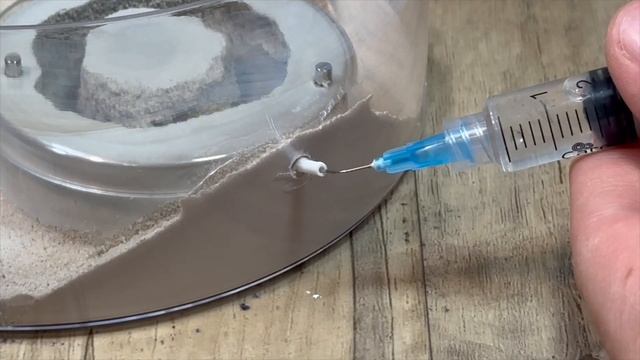 Giving my new ant colony their very first outworld. Tips included! - Tapinoma Sessile