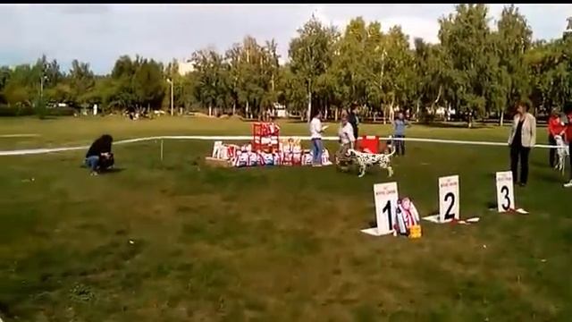к промежуток нефрит с но