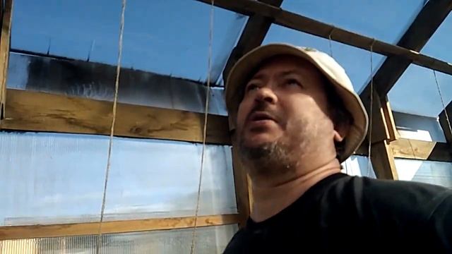 2020.06.25  Про обезьян и не только