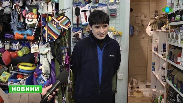 Історія врятованого лебедя-кликуна. Продовження...