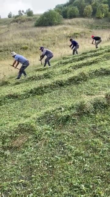 Сенокос , заготовка в горах