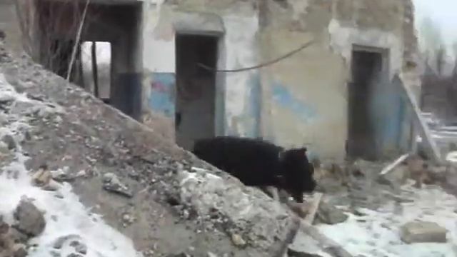 Фрам. Тренировка по ПСС