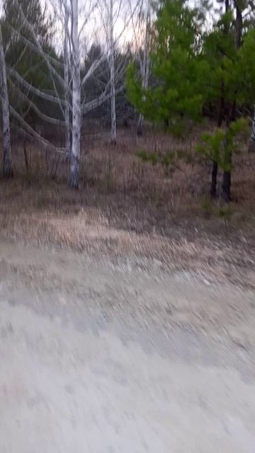 Встретили зайца