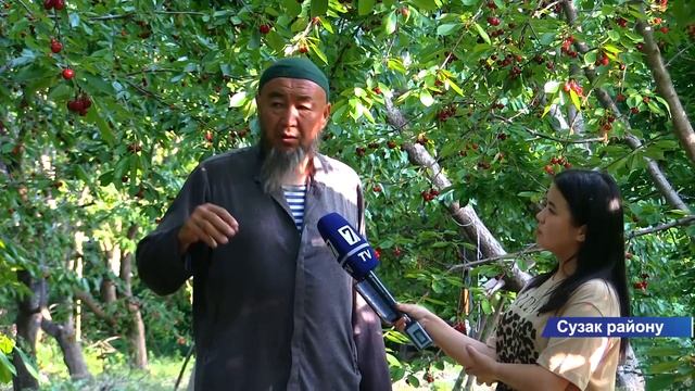 "1 ТОННАГА ЧЕЙИН КОКОН ГИЛАС АЛАМ"