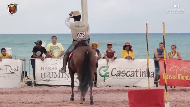 Canção da Ferrari, Res. Campeã Brasileira de Marcha e Categoria Égua CBM Picada 2017