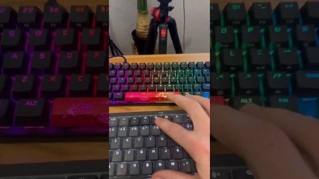 HyperX vs Logitech MX: Which Keyboard is Right for You?