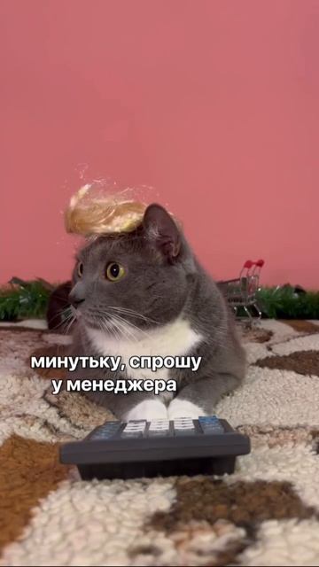 Озвучка