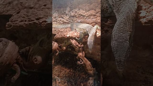 1000013379.mp4