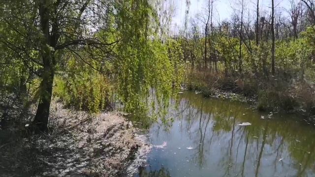 Ты - есть Поле Творения