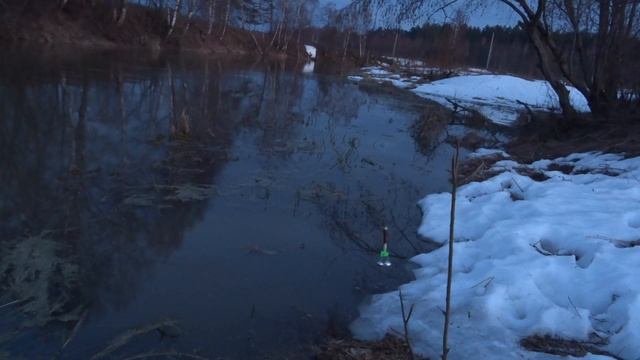 ЗА НАЛИМОМ