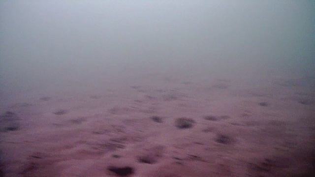 1000008114.mp4