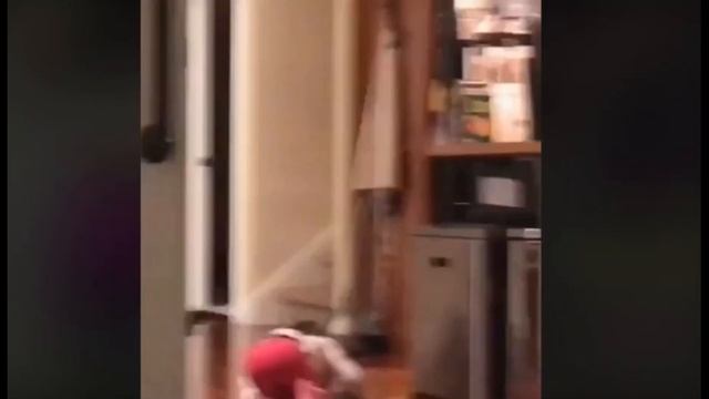 Kids and their funny reactions caught on camera so fun