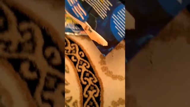 Мои морские монстры и ко