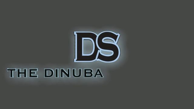 DS logo