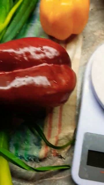 Заготовка на Зиму👌Сушим Овощи🥦🧅🫑🌱#овощи #сушимовощи #заготовкиназиму #мотивация #оттатьяныслюбовью