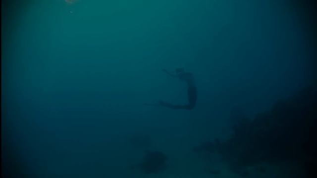 Mermaids In The Red Sea, Freediving Edit