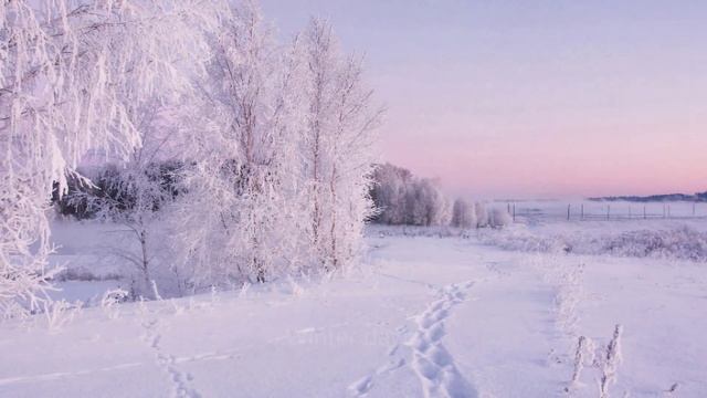 Сквозь нежную снежность