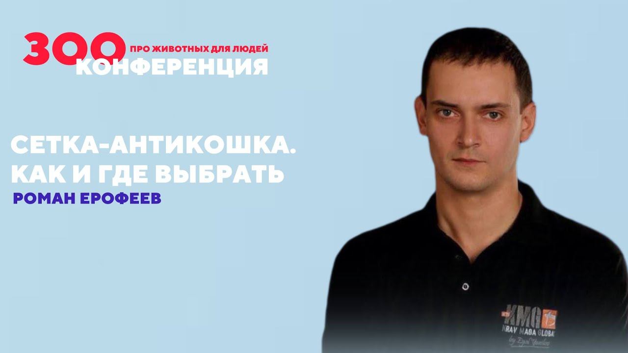 Сетка-антикошка | Роман Ерофеев | ЗООКОНФЕРЕНЦИЯ