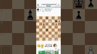 Игра шахматы#13
