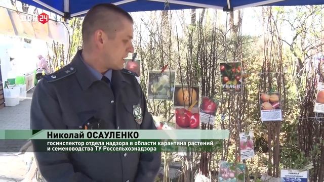 Феерия цветов