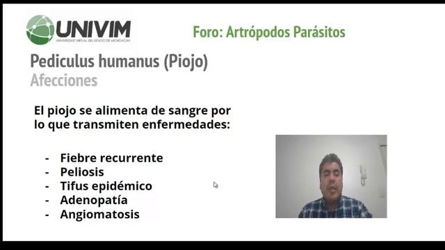 Principios de Microbiología y Parasitología - Artrópodos Parásitos (Piojo y Ladilla)