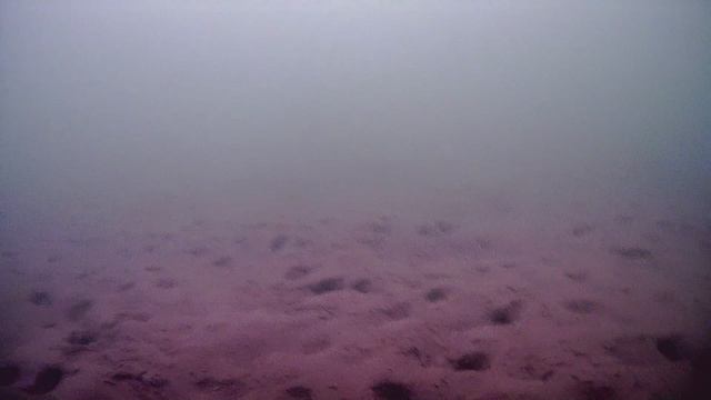1000008113.mp4